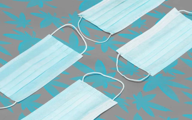 Cannabis for the prevention of COVID-19