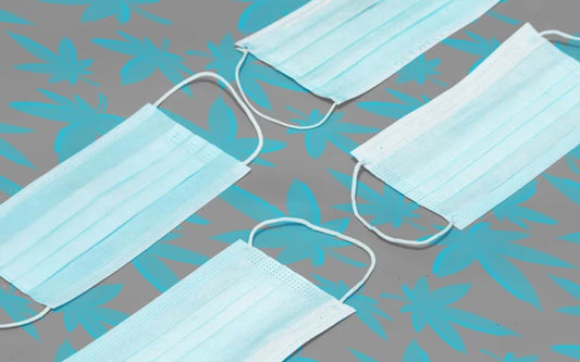 Cannabis for the prevention of COVID-19