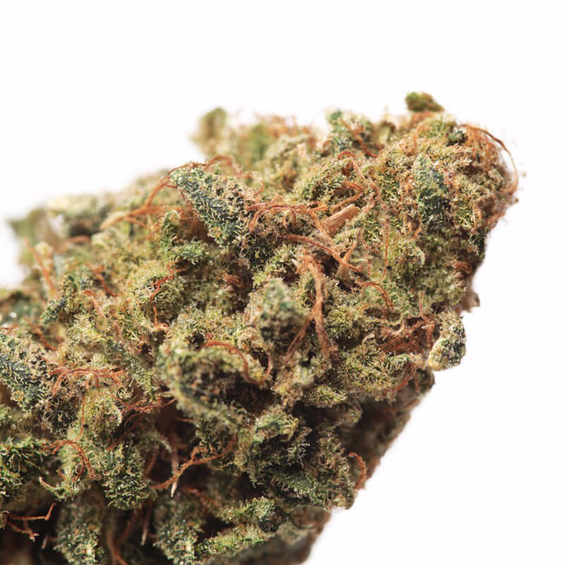 Refill Fleurs CBD Party