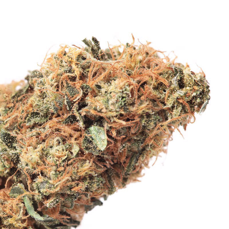 Create CBD Ready2Roll