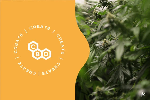 What is CBD? The cannabidiol of Legal Weed