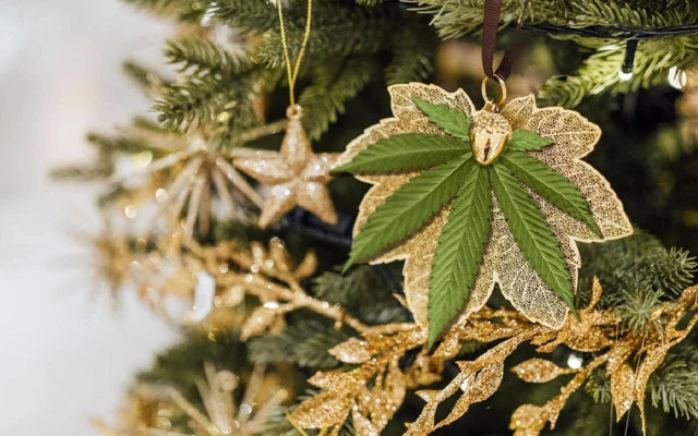 CBD gifts under the Christmas tree