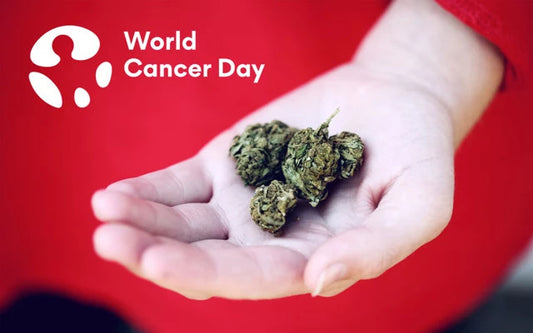 The role of cannabis in the cure for cancer