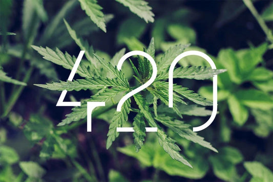The 420 Origins: Discover the Story Behind the Legendary Number