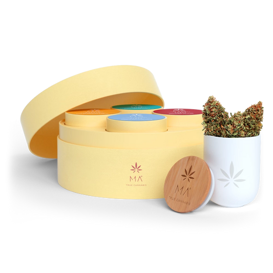 Discovery Pack Fleurs CBD